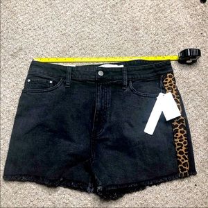 NWT Jean Shorts ! Size 15!